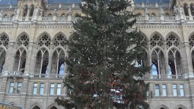 Vánoční trhy ve Vídni