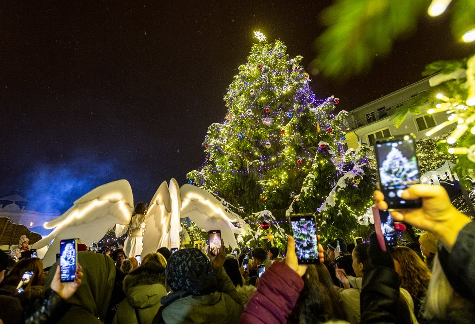 Vánoční strom v Ústí nad Labem.