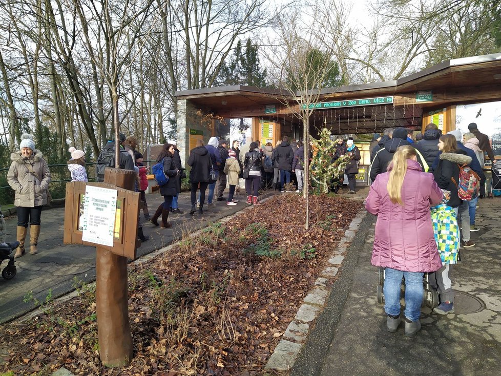 Do brněnské zoo dorazily na Štědrý den dva tisíce malých a velkých Brňanů.