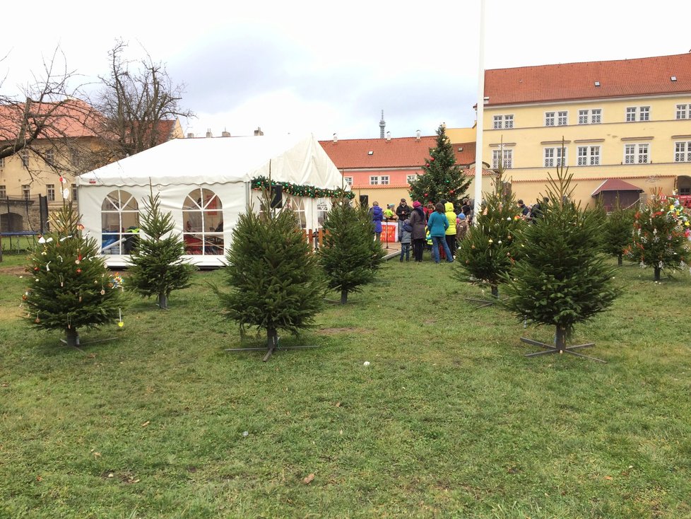 Stromků je na místě dost, do volného prostoru se případně ještě vejdou další.