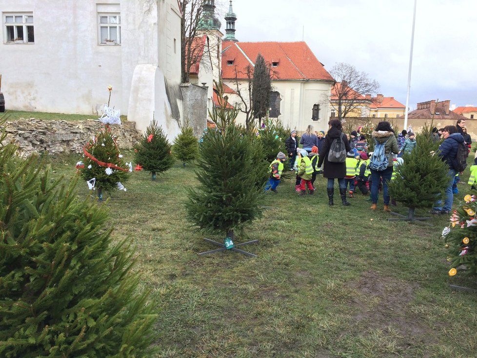 Spousta vánočních stromků v Loretánské zahradě ještě čeká na ozdobení.