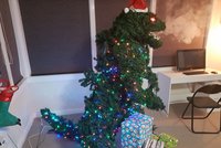 Dlouhý ocas, pára a ostré zuby! To je ten nejoriginálnější vánoční strom všech dob 