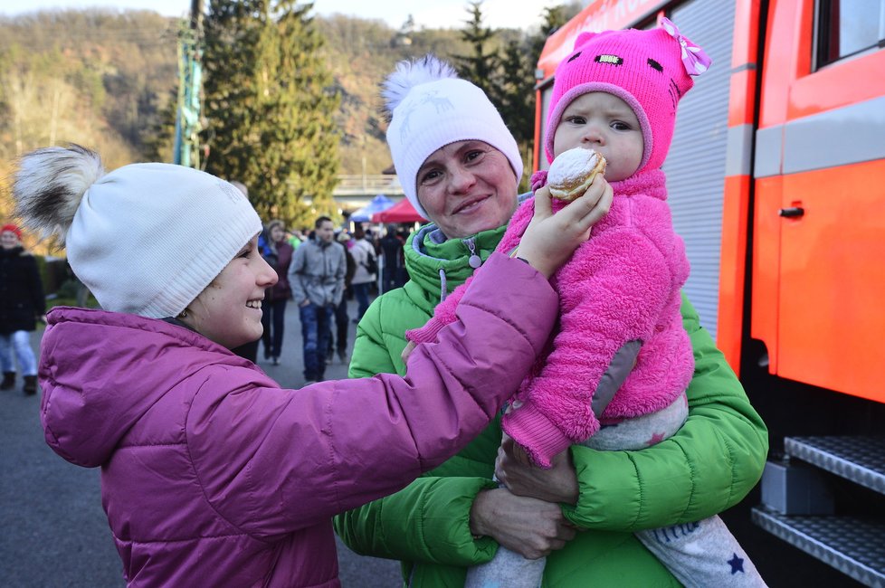 Průběh kácení vánočního stromu pro Staroměstské náměstí v Roztokách u Křivoklátu.