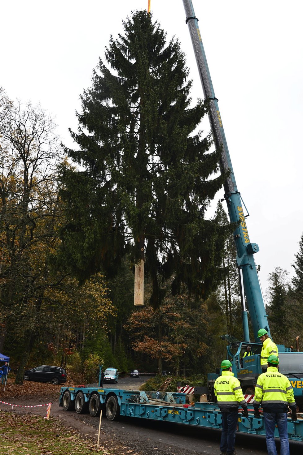 Vánoční strom pro Prahu zdvihli do výšky, aby ho mohli připravit k transportu.