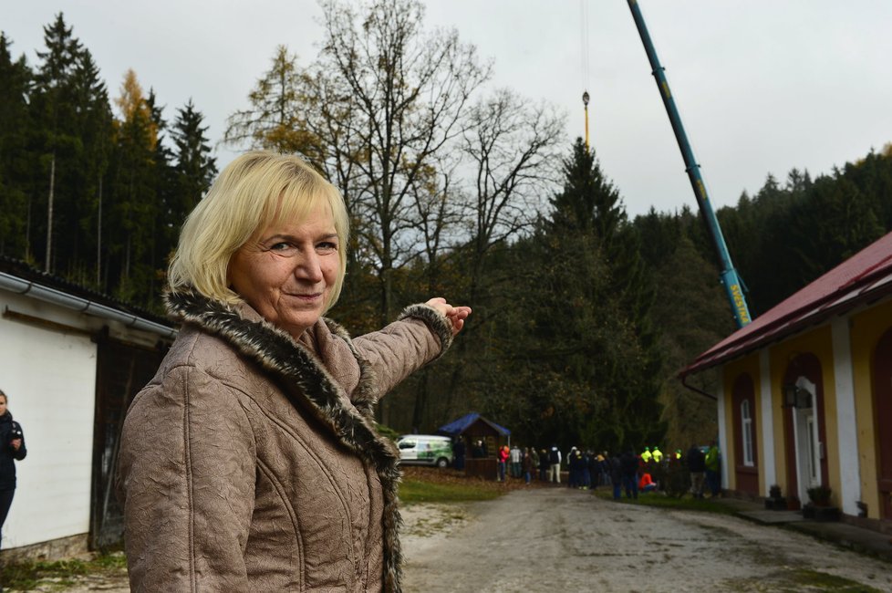 Alena Wolfová ukazuje na strom, který ozdobí vánoční Prahu.