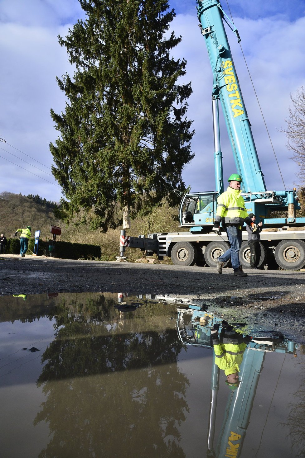 Průběh kácení vánočního stromu pro Staroměstské náměstí v Roztokách u Křivoklátu