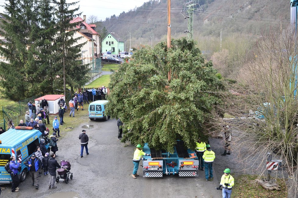 Strom si převzali odborníci přepravní společnosti, kteří ho upevnili do horizontální polohy.