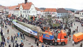 Průjezd stromu sledovaly v každé obci tisíce lidí.