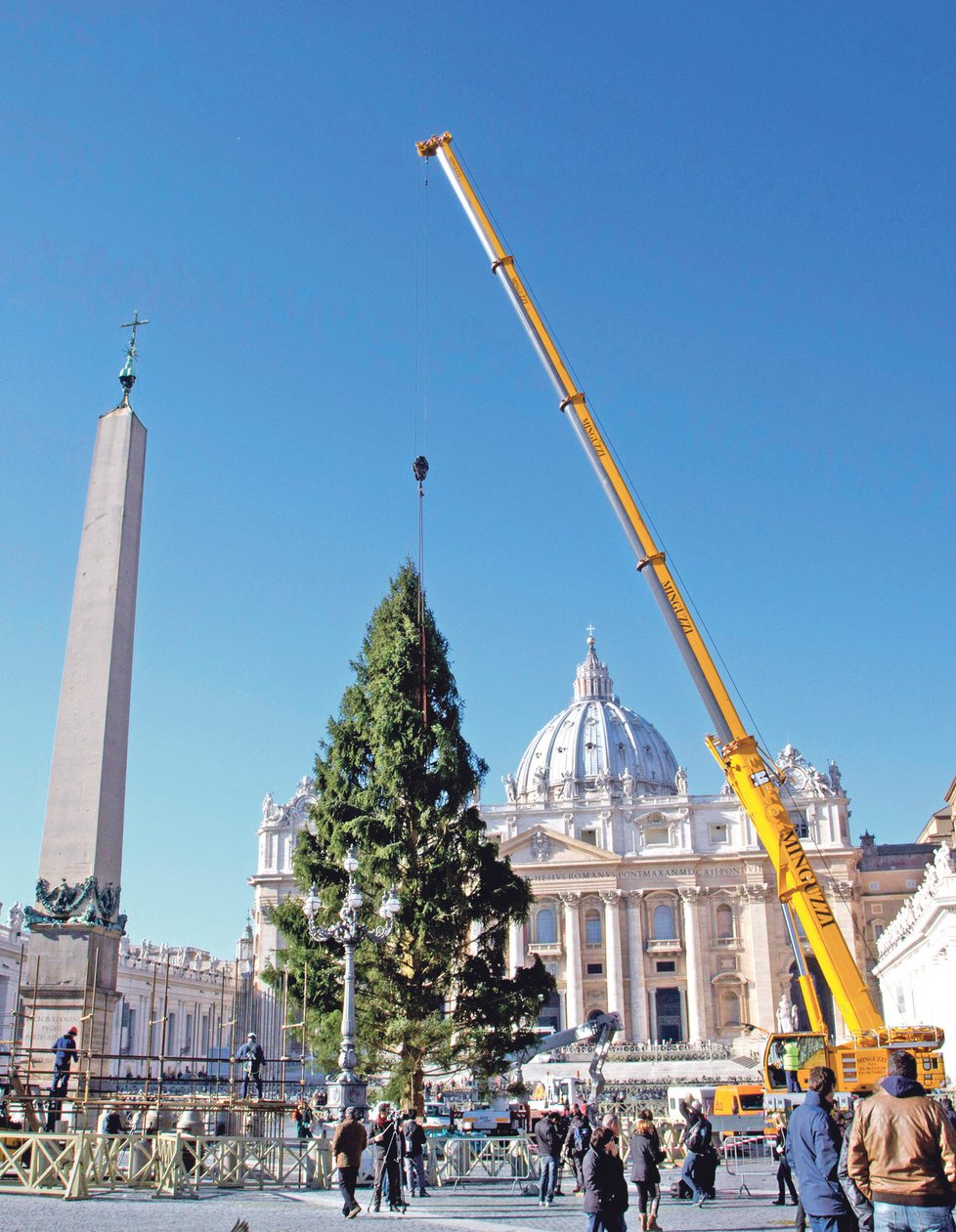 Před baziliku svatého Petra dorazil strom 5. prosince.