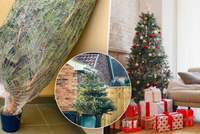 Jak prodloužit životnost vánočního stromečku: Správný výběr a vhodná teplota