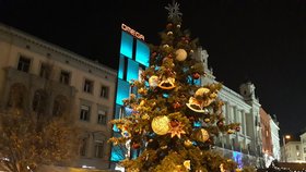 Vánoční Brno láká i bez trhů: Dva ozdobené stromy, svítící hvězda i retro tramvaj