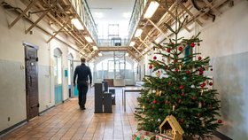 Vánoční stromeček ve vězení (ilustrační foto)