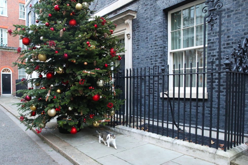 Výzdoba v Downing Street