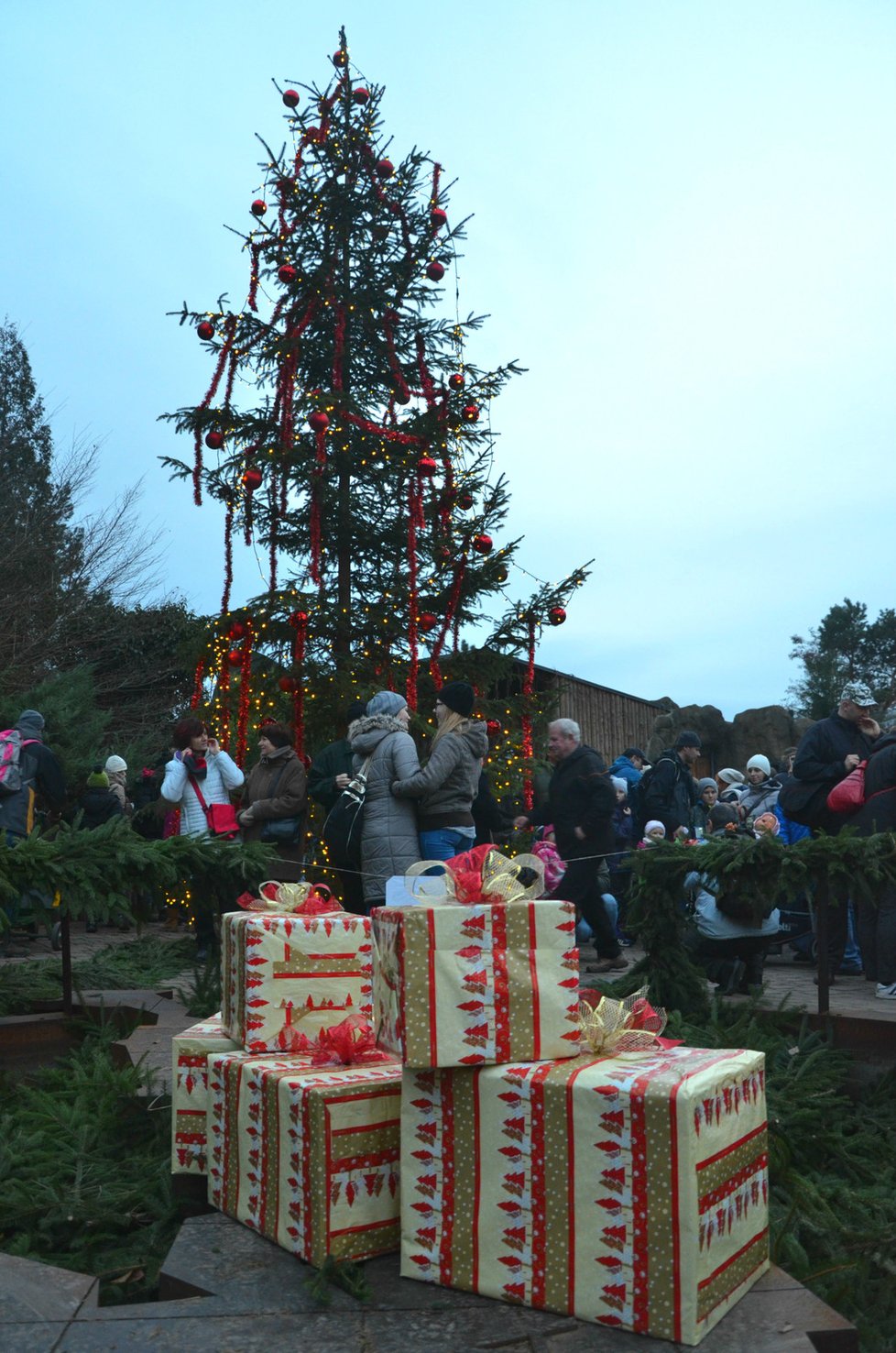 Zoo Brno pomáhá nemocným a postiženým dětem.