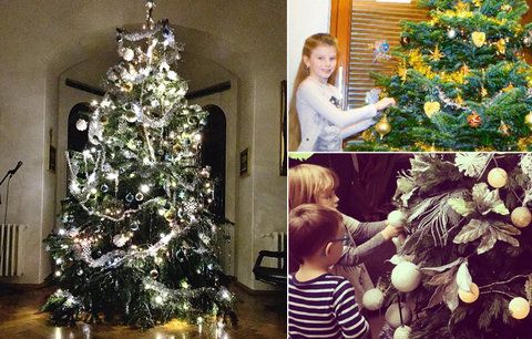 Horečka nejkrásnějších svátků v roce vrcholí: Které celebrity už rozsvítily vánoční stromek?