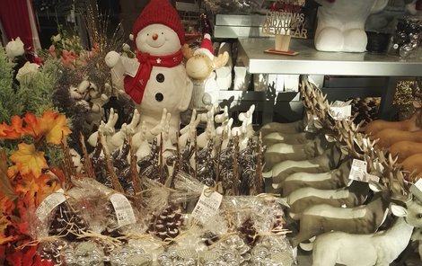 Sněhuláky, špičky na vánoční stromky i adventní svíčky nabízí řetězec ve Strakonicích.