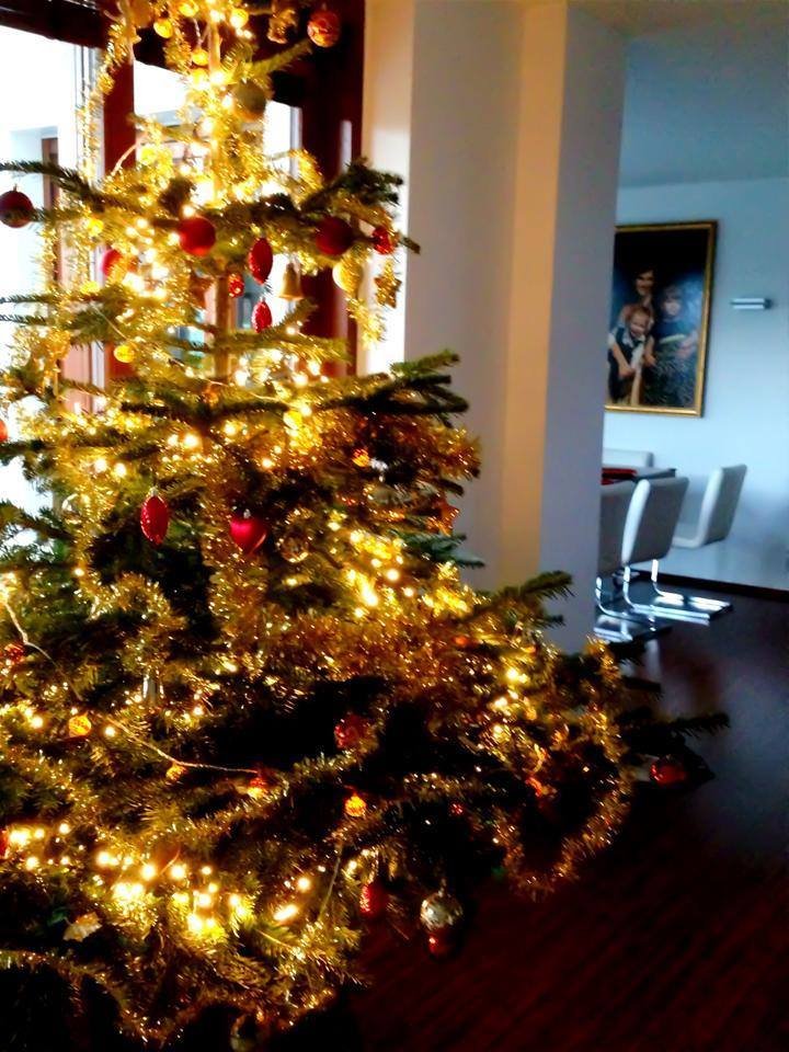 A takhle vypadá finálová podoba vánočního stromečku u Andrey Verešové.