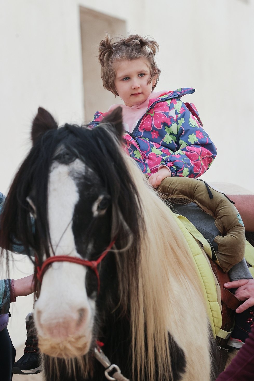 Pavlínka podstupuje léčbu pomocí hiporehabilitace. Na koních jezdí už rok.