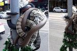 V Melbourne se v ulicích objevili vánoční hadi.