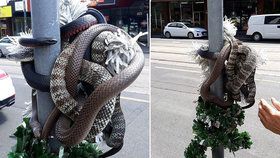 Sssssmrtící Vánoce: Nebezpeční hadi se objevili jako sváteční dekorace na ulici