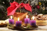Vánoční hvězda je tradiční ozdobou svátečního stolu