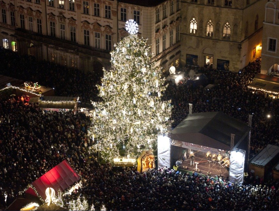 Ceny vánočních stromků i jejich prodej letos zůstanou na loňské úrovni.