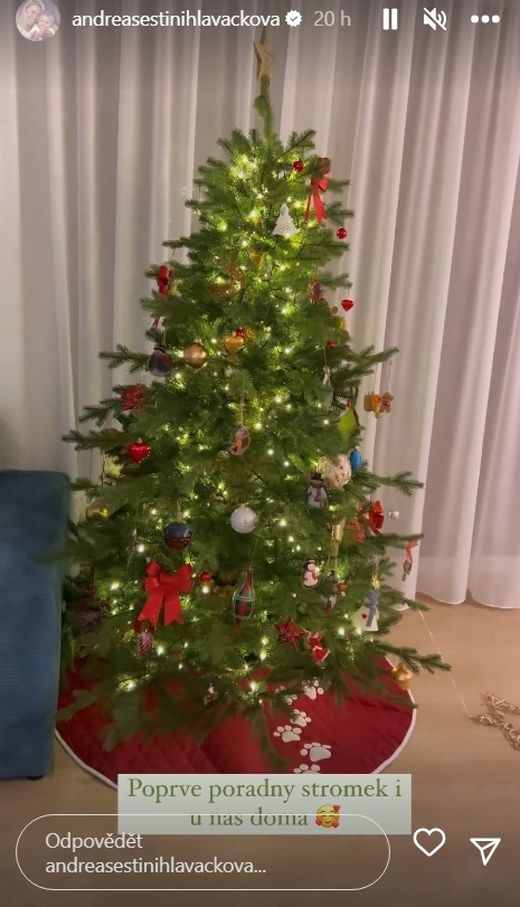 Vánoční stromek Andey Sestini Hlaváčkové Vánoční stromek Andey Sestini Hlaváčkové