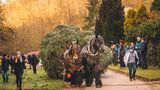 Vánoční strom dovezl koňský povoz do Brna, jedle opět vyrostla v Bílovicích nad Svitavou