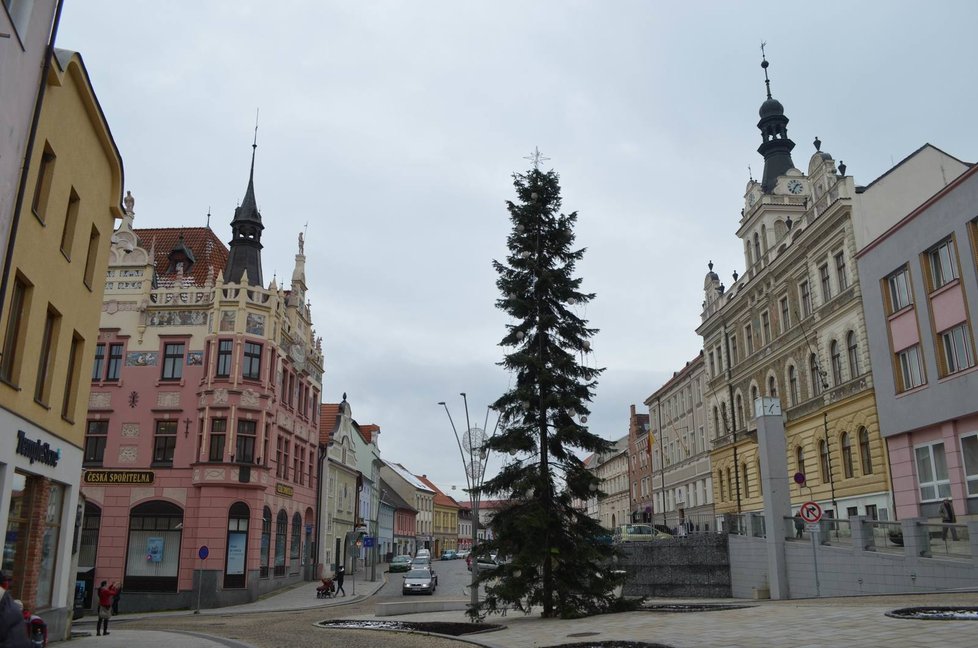 Ve Strakonicích v roce 2015 přezdívali jejich stromu &#34;Štětka&#34;.