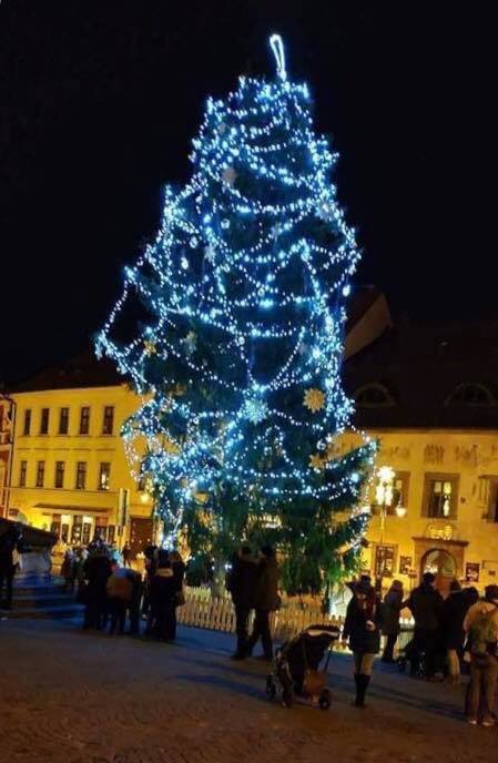 Takhle vypadal loňský strom v Táboře.