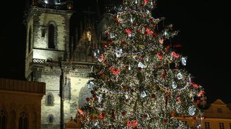 Vánoce se blíží: Na Staroměstském náměstí byl vztyčen vánoční strom