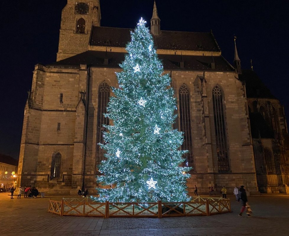Vánoce 2021: Vánoční strom na náměstí Republiky v Plzni.
