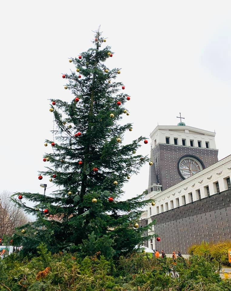 Klíčový vánoční strom Prahy 3 se nachází na náměstí Jiřího z Poděbrad u kostela Nejsvětějšího Srdce Páně. Jedná se o 13 metrů vysokou jedli.