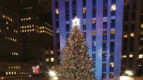 Američané letos svůj vánoční strom v New Yorku vztyčovali už posedmasedmdesáté v historii