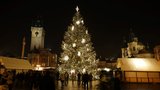 Praha hledá vánoční strom pro Staromák! Za smrk ztepilý odměna 10 tisíc 