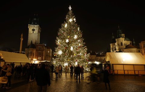 Praha hledá vánoční strom pro Staromák! Za smrk ztepilý odměna 10 tisíc 