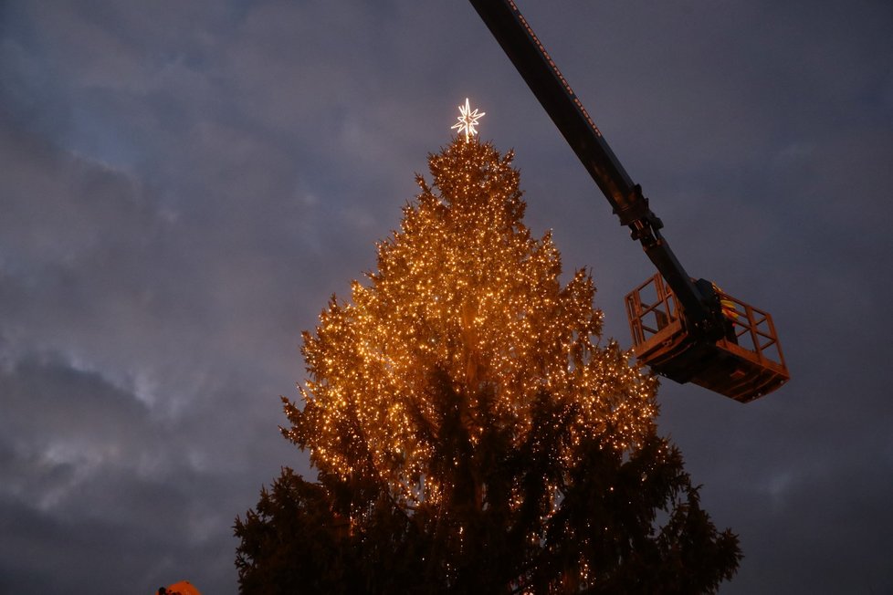 Vánoční strom na Staroměstském náměstí už svítí (24. listopadu 2021).