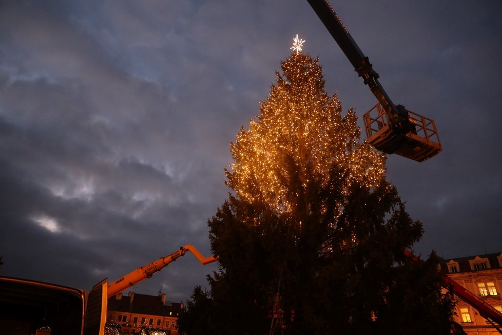 Vánoční strom na Staroměstském náměstí už svítí. (24. listopadu 2021)