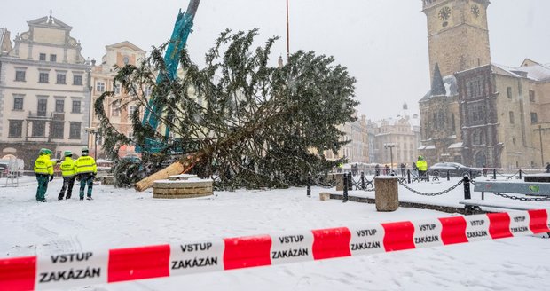 Těžká technika odvezla Vánoční strom ze Staroměstského náměstí. Bude z něj nábytek pro azylový dům