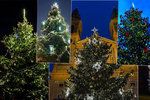 V které pražské městské části najdete nejkrásnější vánoční strom? A kde jeho zdobení pojali netradičně? Vše se dozvíte v našem velkém přehledu.