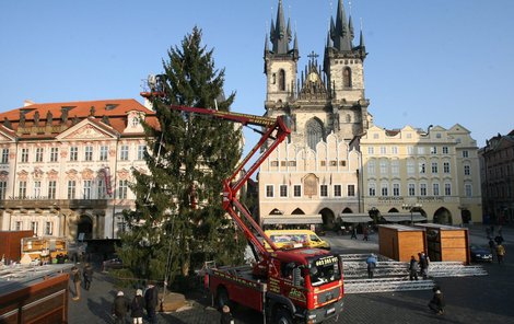 Strom na »Staromáku« už stojí, rozzáří se v sobotu.