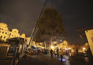 Košatý smrk, který měří 22 metrů, už od rána zdobí Staroměstské náměstí. Takto jej tam převáželi.