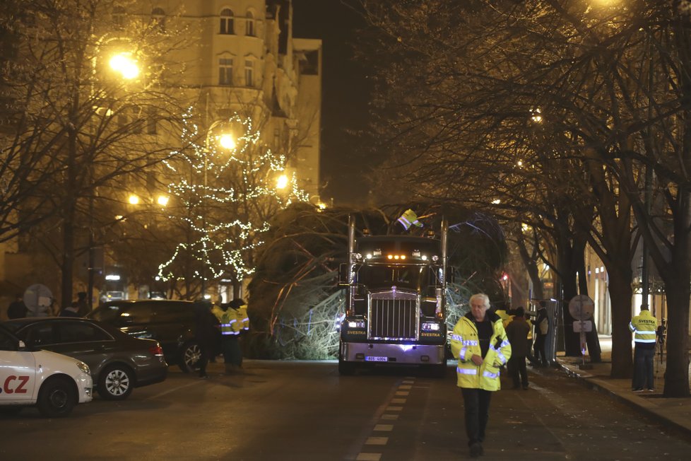 Košatý smrk, který měří 22 metrů, už od rána zdobí Staroměstské náměstí. Takto jej tam převáželi.