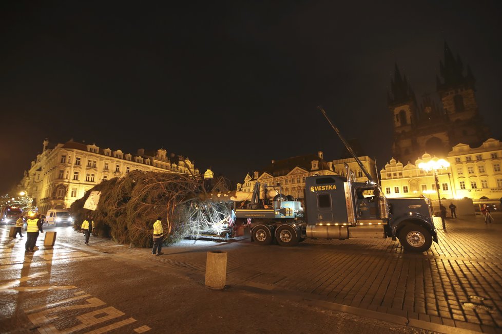 Košatý smrk, který měří 22 metrů, už od rána zdobí Staroměstské náměstí. Takto jej tam převáželi.