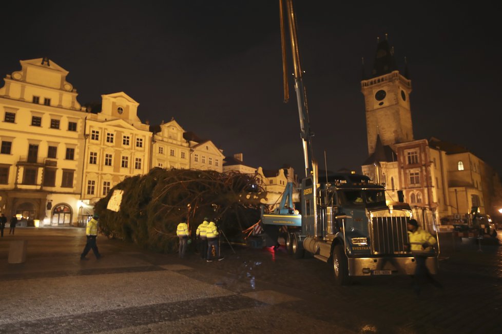 Košatý smrk, který měří 22 metrů, už od rána zdobí Staroměstské náměstí. Takto jej tam převáželi.