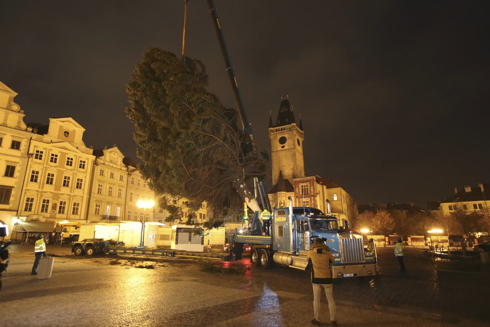 Košatý smrk, který měří 22 metrů, už od rána zdobí Staroměstské náměstí. Takto jej tam převáželi.