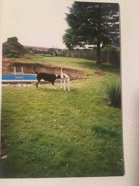 Už v roce 1997 byl smrk náramný fešák, jak dokládá fotografie, kterou redakci laskavě poskytla paní Zuzana Jalloul.