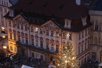 Praha hledá vánoční strom: V prosinci ozdobí Staromák, „nálezce“ obdrží odměnu