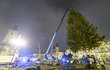Stavění vánočního stromu na Staroměstském náměstí v brzkých ranních hodinách. (22. listopad 2022)