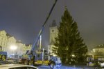 Stavění vánočního stromu na Staroměstském náměstí v brzkých ranních hodinách. (22. listopad 2022)